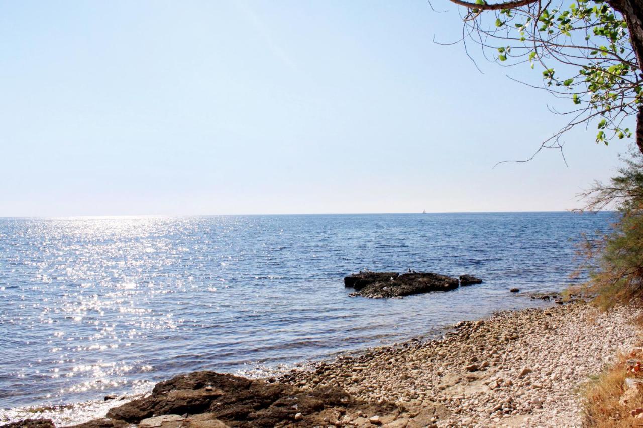 Holiday House With A Parking Space Babici, Umag - 13795 外观 照片